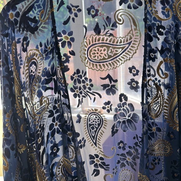 Anthropologie Sheer Dress. Boho stile - Picture 5 of 7